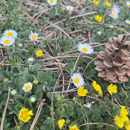 La Des Artistes 2 - Confort, Nature Et Deconnexion 샬레
